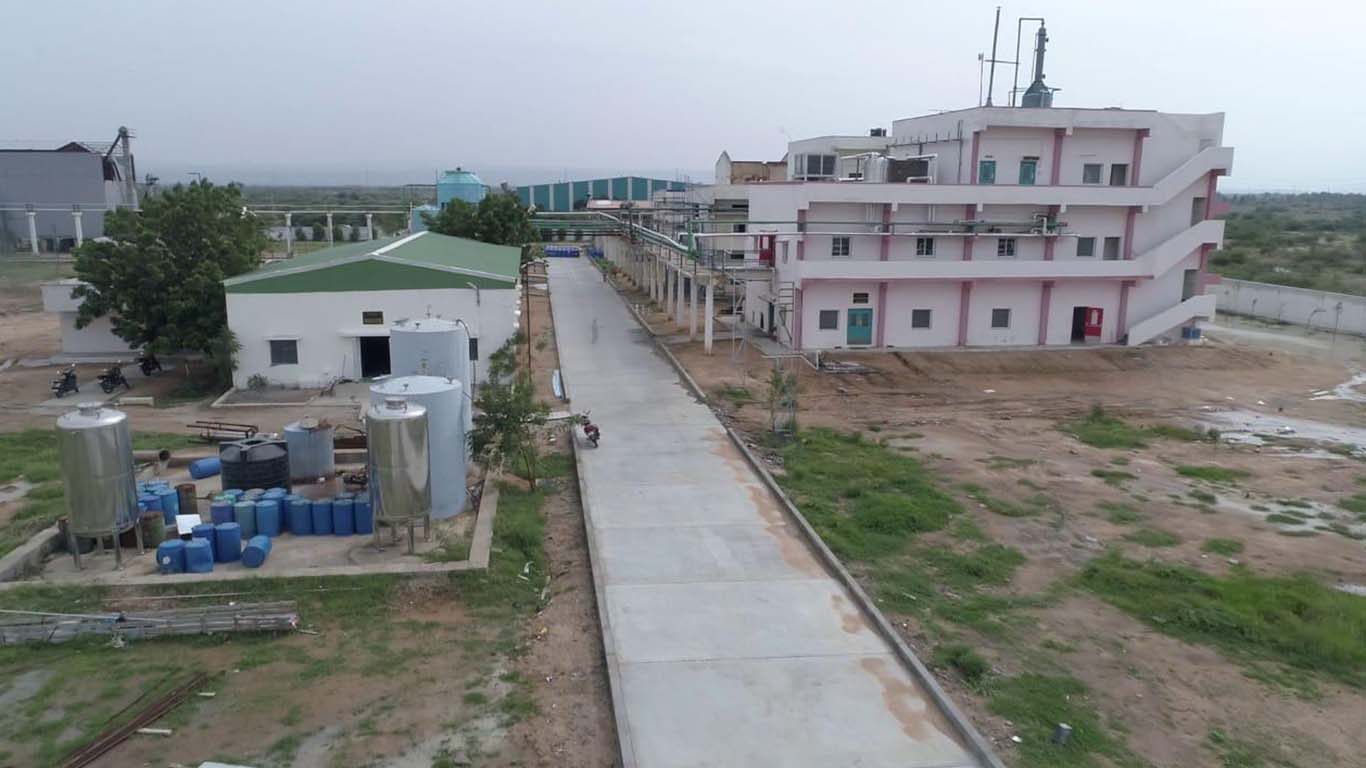 Birthday decor with purple balloons and candles